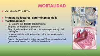  Van desde 20 a 60%.
 Principales factores determinantes de la
 mortalidad son:
› El tamaño del defecto del diafragma.
› El grado de hipoplasia pulmonar.
› Si el hígado está en el tórax o se queda por debajo del
diafragma.
› La severidad de la hipertensión pulmonar en el período
perinatal.
› Casos diagnosticados antes de las 25 semanas de edad
gestacional tienen un 100% de mortalidad.
 