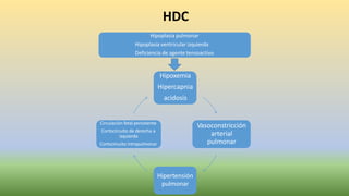 Vasoconstricción
arterial
pulmonar
Hipertensión
pulmonar
Circulación fetal persistente
Cortocircuito de derecha a
izquierda
Cortocircuito intrapulmonar
Hipoplasia pulmonar
Hipoplasia ventricular izquierda
Deficiencia de agente tensoactivo
Hipoxemia
Hipercapnia
acidosis
HDC
 