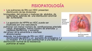  Los pulmones de RN con HDC presentan
disminución de las divisiones
bronquiales, del número y madurez de alvéolos, de
surfactante, además de una distribución anormal
del surfactante.
 La aparición de HPPN en HDC puede ser
explicada por una vasculatura
pulmonar con menor número de ramificaciones arteriales,
vasos engrosados, menor número de arteriolas y
capilares periféricos, y aumento
del grosor de la adventicia e interfase
alvéolo/capilar.
Además, los pulmones de RN con HDC poseen
disminución de eNOS y un aumento de endotelina-1 y
su receptor ET-A lo que contribuirían a una falla en la
disminución normal de la resistencia
pulmonar al nacer.
 