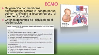  Oxigenación por membrana
extracorpórea: Circula la sangre por un
pulmón artificial y la lleva de regreso al
torrente circulatorio.
 Criterios generales de inclusión en el
recién nacido
 
