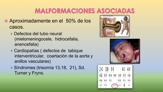  Aproximadamente en el 50% de los
casos.
› Defectos del tubo neural
(mielomeningocele, hidrocefalia,
anencefalia)
› Cardiopatías ( defectos de tabique
interventricular, coartación de la aorta y
anillos vasculares)
› Síndromes (trisomía 13,18, 21), Sd.
Turner y Fryns.
 