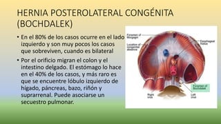 HERNIA POSTEROLATERAL CONGÉNITA
(BOCHDALEK)
• En el 80% de los casos ocurre en el lado
izquierdo y son muy pocos los casos
que sobreviven, cuando es bilateral
• Por el orificio migran el colon y el
intestino delgado. El estómago lo hace
en el 40% de los casos, y más raro es
que se encuentre lóbulo izquierdo de
hígado, páncreas, bazo, riñón y
suprarrenal. Puede asociarse un
secuestro pulmonar.
 