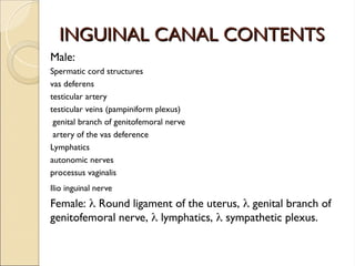 INGUINAL CANAL CONTENTS
INGUINAL CANAL CONTENTS
Male:
Spermatic cord structures
vas deferens
testicular artery
testicular veins (pampiniform plexus)
genital branch of genitofemoral nerve
artery of the vas deference
Lymphatics
autonomic nerves
processus vaginalis
Ilio inguinal nerve
Female:  Round ligament of the uterus,  genital branch of
genitofemoral nerve,  lymphatics,  sympathetic plexus.
 