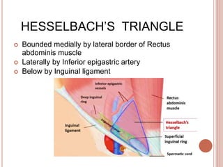 Inguinal Hernia .pptx