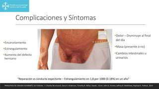 Complicaciones y Síntomas
Encarcelamiento
Estrangulamiento
Aumento del defecto
herniario
“Reparación vs conducta expectante – Estrangulamiento en 1,8 por 1000 (0.18%) en un año”
Dolor – Disminuye al final
del día
Masa (presente o no)
Cambios intestinales u
urinarios
PRINCIPIOS DE CIRUGIA SCHWARTZ 10.ª Edición. F. Charles Brunicardi, Dana K. Andersen, Timothy R. Billiar, David L. Dunn, John G. Hunter, Jeffrey B. Matthews, Raphael E. Pollock. 2015
 