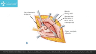 PRINCIPIOS DE CIRUGIA SCHWARTZ 10.ª Edición. F. Charles Brunicardi, Dana K. Andersen, Timothy R. Billiar, David L. Dunn, John G. Hunter, Jeffrey B. Matthews, Raphael E. Pollock. 2015
 