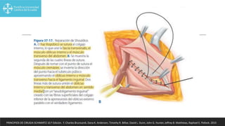 PRINCIPIOS DE CIRUGIA SCHWARTZ 10.ª Edición. F. Charles Brunicardi, Dana K. Andersen, Timothy R. Billiar, David L. Dunn, John G. Hunter, Jeffrey B. Matthews, Raphael E. Pollock. 2015
 