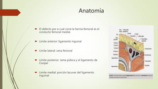 Anatomía
 El defecto por e cual corre la hernia femoral es el
conducto femoral medial.
 Limite anterior: ligamento inguinal
 Limite lateral: vena femoral
 Limite posterior: rama púbica y el ligamento de
Cooper
 Limite medial: porción lacunar del ligamento
inguinal
 