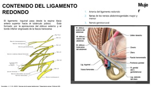 CONTENIDO DEL LIGAMENTO
REDONDO
Muje
r
1. Arteria del ligamento redondo
2. Ramas de los nervios abdominogenitales mayor y
menor
3. Nervio genitocrural
El ligamento inguinal pasa desde la espina iliaca
antero- superior hacia el tubérculo púbico. Está
formado por la aponeurosis del oblicuo externo y el
borde inferior engrosado de la fascia transversa
González, J. C. M. (2023). Hernias de la pared abdominal: Tratamiento actual. Editorial Alfil.
 