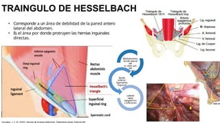 TRAINGULO DE HESSELBACH
Medialmente:
borde lateral
del
m. recto ant.
del
abdomen
Borde
inferior:
ligamento
inguinal
Lateral:
vasos
epigástrico
s inferiores
• Corresponde a un área de debilidad de la pared antero
lateral del abdomen.
• Es el área por donde protruyen las hernias inguinales
directas.
González, J. C. M. (2023). Hernias de la pared abdominal: Tratamiento actual. Editorial Alfil.
 