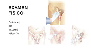 EXAMEN
FISICO
Paciente de
pie
Inspección
Palpación
 