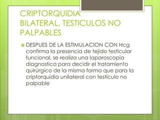 CRIPTORQUIDIA
BILATERAL, TESTICULOS NO
PALPABLES
 DESPUES DE LA ESTIMULACION CON Hcg
 confirma la presencia de tejido testicular
 funcional, se realiza una laparoscopia
 diagnostica para decidir el tratamiento
 quirúrgico de la misma forma que para la
 criptorquidia unilateral con testículo no
 palpable
 