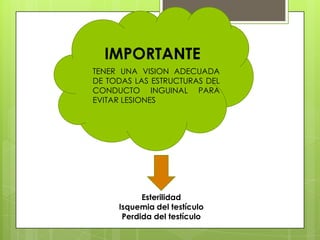 IMPORTANTE
TENER UNA VISION ADECUADA
DE TODAS LAS ESTRUCTURAS DEL
CONDUCTO INGUINAL PARA
EVITAR LESIONES




           Esterilidad
     Isquemia del testículo
      Perdida del testículo
 