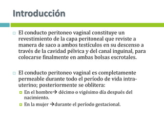 Introducción
 El conducto peritoneo vaginal constituye un
revestimiento de la capa peritoneal que reviste a
manera de saco a ambos testículos en su descenso a
través de la cavidad pélvica y del canal inguinal, para
colocarse finalmente en ambas bolsas escrotales.
 El conducto peritoneo vaginal es completamente
permeable durante todo el período de vida intra-
uterino; posteriormente se oblitera:
 En el hombre décimo o vigésimo día después del
nacimiento.
 En la mujer durante el período gestacional.
 