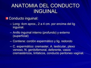 ANATOMIA DEL CONDUCTO INGUINAL <ul><li>Conducto inguinal:  </li></ul><ul><ul><li>Long: 4cm aprox., 2 a 4 cm. por encima de...