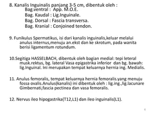 8. Kanalis Inguinalis panjang 3-5 cm, dibentuk oleh :
Bag.ventral : App. M.O.E.
Bag. Kaudal : Lig.Inguinale.
Bag. Dorsal : Fascia transversa.
Bag. Kranial : Conjoined tendon.
9. Funikulus Spermatikus, isi dari kanalis inguinalis,keluar melalui
anulus internus,menuju an.ekst dan ke skrotum, pada wanita
berisi ligamentum rotundum.
10.Segitiga HASSELBACH, dibentuk oleh bagian medial: tepi leteral
musk.rektus, bg. lateral Vasa epigastrika inferior dan bg. bawah:
lig.Inguinal. Ini merupakan tempat keluarnya hernia ing. Medialis.
11. Anulus femoralis, tempat keluarnya hernia femoralis.yang menuju
fossa ovalis.Anulus(kanalis) ini dibentuk oleh : lig.ing.,lig.lacunare
Gimbernati,fascia pectinea dan vasa femoralis.
12. Nervus ileo hipogastrika(T12,L1) dan ileo inguinalis(L1).
6
 