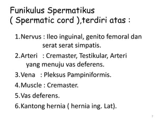 Funikulus Spermatikus
( Spermatic cord ),terdiri atas :
1.Nervus : Ileo inguinal, genito femoral dan
serat serat simpatis.
2.Arteri : Cremaster, Testikular, Arteri
yang menuju vas deferens.
3.Vena : Pleksus Pampiniformis.
4.Muscle : Cremaster.
5.Vas deferens.
6.Kantong hernia ( hernia ing. Lat).
7
 