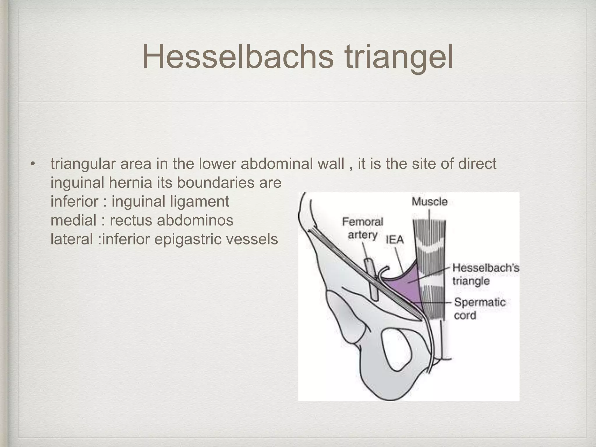 Hernia | PPTX