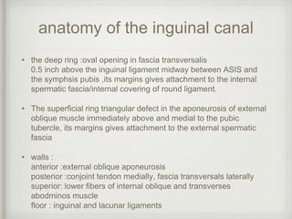 anatomy of the inguinal canal
• the deep ring :oval opening in fascia transversalis
0.5 inch above the inguinal ligament midway between ASIS and
the symphsis pubis ,its margins gives attachment to the internal
spermatic fascia/internal covering of round ligament.
• The superficial ring triangular defect in the aponeurosis of external
oblique muscle immediately above and medial to the pubic
tubercle, its margins gives attachment to the external spermatic
fascia
• walls :
anterior :external oblique aponeurosis
posterior :conjoint tendon medially, fascia transversals laterally
superior: lower fibers of internal oblique and transverses
abodminos muscle
floor : inguinal and lacunar ligaments
 
