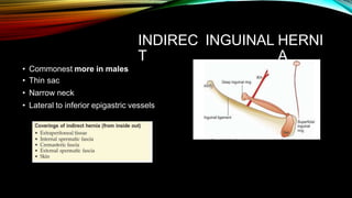 INDIREC
T
INGUINAL HERNI
A
• Commonest more in males
• Thin sac
• Narrow neck
• Lateral to inferior epigastric vessels
 