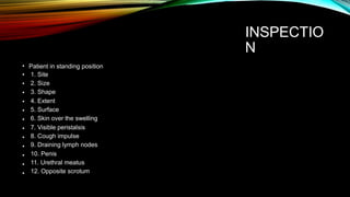 INSPECTIO
N
•
•
•
•
•
•
•
•
•
•
•
•
•
Patient in standing position
1. Site
2. Size
3. Shape
4. Extent
5. Surface
6. Skin over the swelling
7. Visible peristalsis
8. Cough impulse
9. Draining lymph nodes
10. Penis
11. Urethral meatus
12. Opposite scrotum
 