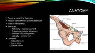 ANATOMY
• Femoral canal: 2 x 2 cm size
• Medial compartment of femoral sheath
• Base: Femoral ring
• Bounded
• Anteriorly—inguinal ligament
• Posteriorly—cooper’s ligament
• Medially—lacunar ligament
• Laterally—femoral vein
• Contents:
• Cloquets node
• Lymphatics
• Areolar tissue
 