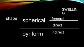 SWELLIN
G
shape femoral
spherical
direct
indirect
pyriform
 