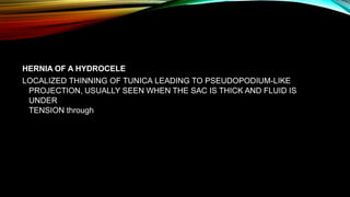 HERNIA OF A HYDROCELE
LOCALIZED THINNING OF TUNICA LEADING TO PSEUDOPODIUM-LIKE
PROJECTION, USUALLY SEEN WHEN THE SAC IS THICK AND FLUID IS
UNDER
TENSION through
 