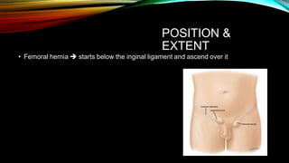POSITION &
EXTENT
• Femoral hernia  starts below the inginal ligament and ascend over it
 