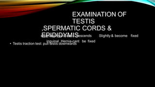 EXAMINATION OF
TESTIS
,SPERMATIC CORDS &
EPIDIDYMIS
• Testis traction test: pull testis downwards
encysted hydrocele – descends Slightly & become fixed
inguinal Hernia-cant be fixed
 