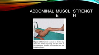ABDOMINAL MUSCL
E
STRENGT
H
 