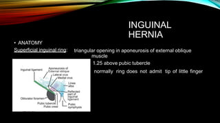 INGUINAL
HERNIA
• ANATOMY
Superficial inguinal ring: triangular opening in aponeurosis of external oblique
muscle
1.25 above pubic tubercle
normally ring does not admit tip of little finger
 