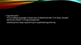• Inguinal canal :
It is an oblique passage in lower part of abdominal wall, 4 cm long, situated
above the medial ½ of inguinal ligament,
extending from deep inguinal ring to superficial inguinal ring.
 