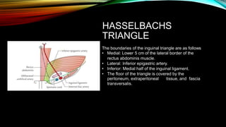 HASSELBACHS
TRIANGLE
The boundaries of the inguinal triangle are as follows
• Medial: Lower 5 cm of the lateral border of the
rectus abdominis muscle.
• Lateral: Inferior epigastric artery.
• Inferior: Medial half of the inguinal ligament.
• The floor of the triangle is covered by the
peritoneum, extraperitoneal
transversalis.
tissue, and fascia
 