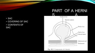 PART
S
OF A HERNI
A
• SAC
• COVERING OF SAC
• CONTENTS OF
SAC
 