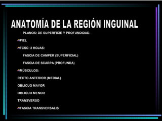 PLANOS: DE SUPERFICIE Y PROFUNDIDAD.

 PIEL

 TCSC: 2 HOJAS:

  FASCIA DE CAMPER (SUPERFICIAL)

  FASCIA DE SCARPA (PROFUNDA)

 MÚSCULOS:

RECTO ANTERIOR (MEDIAL)

OBLICUO MAYOR

OBLICUO MENOR

TRANSVERSO

 FASCIA TRANSVERSALIS
 