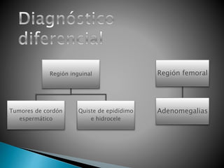 Región inguinal 
Tumores de cordón 
espermático 
Quiste de epidídimo 
e hidrocele 
Región femoral 
Adenomegalias 
 
