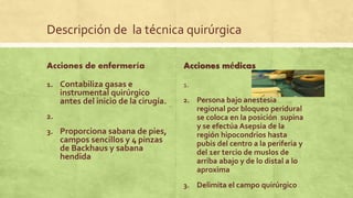 Descripción de la técnica quirúrgica
Acciones de enfermería
1. Contabiliza gasas e
instrumental quirúrgico
antes del inicio de la cirugía.
2.
3. Proporciona sabana de pies,
campos sencillos y 4 pinzas
de Backhaus y sabana
hendida
Acciones médicas
1.
2. Persona bajo anestesia
regional por bloqueo peridural
se coloca en la posición supina
y se efectúa Asepsia de la
región hipocondrios hasta
pubis del centro a la periferia y
del 1er tercio de muslos de
arriba abajo y de lo distal a lo
aproxima
3. Delimita el campo quirúrgico
 