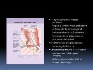  La persistencia del Proceso
peritoneo
vaginal o canal de Nuck, predispone
al desarrollo de hernia inguinal
indirecta; el anillo profundo tiene
función de cierre al aumentar la
presión intrabdominal
• Arco transverso alto predispone a
hernia inguinal directa
• Otros factores: trauma local repetido,
cambios degenerativos por
aumento
de la presión intrabdominal, alt
síntesis del colágeno
 