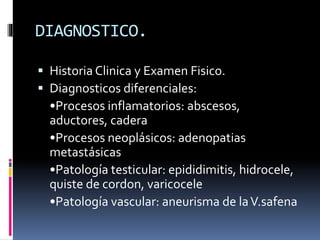 DIAGNOSTICO.
 Historia Clinica y Examen Fisico.
 Diagnosticos diferenciales:
•Procesos inflamatorios: abscesos,
aductores, cadera
•Procesos neoplásicos: adenopatias
metastásicas
•Patología testicular: epididimitis, hidrocele,
quiste de cordon, varicocele
•Patología vascular: aneurisma de laV.safena
 