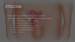 ETIOLOGIA
 fracaso total o parcial del cierre del conducto vaginal
 Las enfermedades o condiciones en que puede estar asociada:
 Enfermedades de las microfibrillas ( MARFAN)
 Enfermedades de la elastina ( WILLIAMS)
 Enfermedades del colágeno (Ehlers-Danlos)
 Enfermedades del glucosaminoglicano
 Trastornos de la diferenciación sexual
 Trastornos genéticos
 