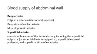 Blood supply of abdominal wall
Deep arteries
Epigastric arteries (inferior and superior)
Deep circumflex iliac arteries
Musculophrenic arteries
Superficial arteries
consists of branches of the femoral artery, including the superficial
epigastric (or superficial inferior epigastric), superficial external
pudendal, and superficial circumflex arteries.
 