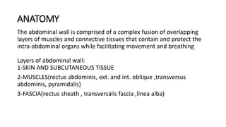 ANATOMY
The abdominal wall is comprised of a complex fusion of overlapping
layers of muscles and connective tissues that contain and protect the
intra-abdominal organs while facilitating movement and breathing
Layers of abdominal wall:
1-SKIN AND SUBCUTANEOUS TISSUE
2-MUSCLES(rectus abdominis, ext. and int. oblique ,transversus
abdominis, pyramidalis)
3-FASCIA(rectus sheath , transversalis fascia ,linea alba)
 