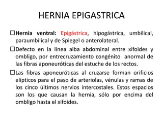 HERNIA EPIGASTRICA
Hernia ventral: Epigástrica, hipogástrica, umbilical,
paraumbilical y de Spiegel o anterolateral.
Defecto en la línea alba abdominal entre xifoides y
ombligo, por entrecruzamiento congénito anormal de
las fibras aponeuróticas del estuche de los rectos.
Las fibras aponeuróticas al cruzarse forman orificios
elípticos para el paso de arteriolas, vénulas y ramas de
los cinco últimos nervios intercostales. Estos espacios
son los que causan la hernia, sólo por encima del
ombligo hasta el xifoides.
 