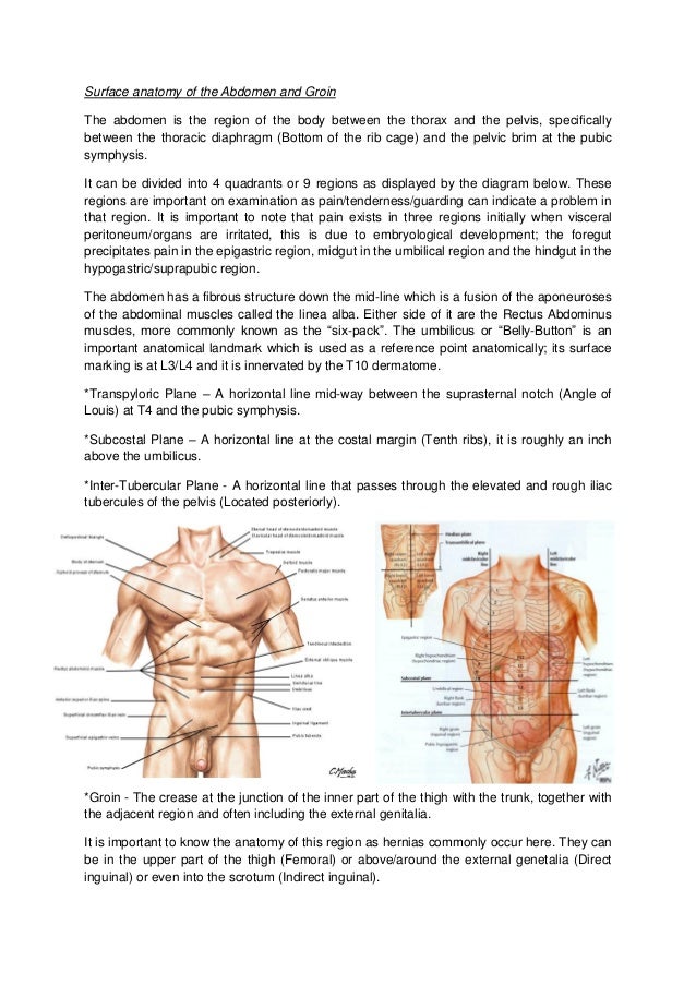 Inguinal Hernia Diagram Photos Cantik