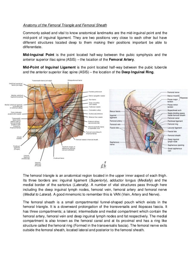 Hernia's and Groin Swellings