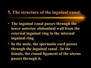 5. The structure of the inguinal canal: The inguinal canal passes through the lower anterior abdominal wall from the external inguinal ring to the internal inguinal ring. In the male, the spermatic cord passes through the inguinal canal . In the female, the round ligament of the uterus passes through it. 