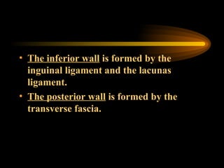 The inferior wall  is formed by the inguinal ligament and the lacunas ligament. The posterior wall  is formed by the transverse fascia. 