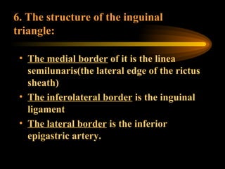 6. The structure of the inguinal triangle: The medial border  of it is the linea semilunaris(the lateral edge of the rictus sheath) The inferolateral border  is the inguinal ligament The lateral border  is the inferior epigastric artery. 