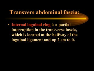 Transvers abdominal fascia: Internal inguinal ring  is a partial interruption in the transverse fascia, which is located at the halfway of the inguinal ligament and up 2 cm to it. 